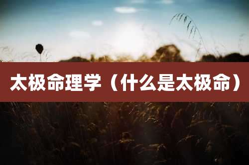 太极命理学（什么是太极命）