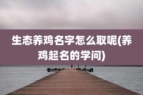 生态养鸡名字怎么取呢(养鸡起名的学问)