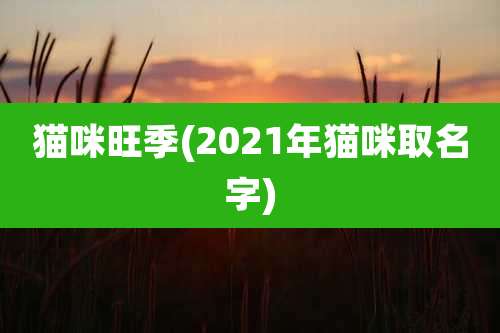 猫咪旺季(2021年猫咪取名字)