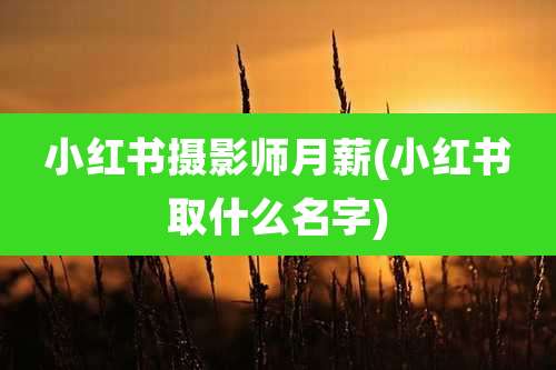 小红书摄影师月薪(小红书取什么名字)