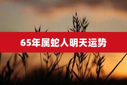 65年属蛇人明天运势