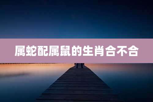 属蛇配属鼠的生肖合不合