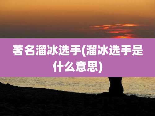 著名溜冰选手(溜冰选手是什么意思)