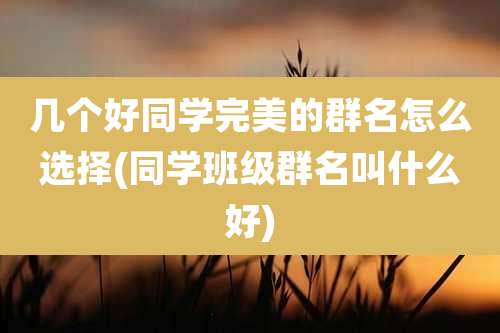 几个好同学完美的群名怎么选择(同学班级群名叫什么好)
