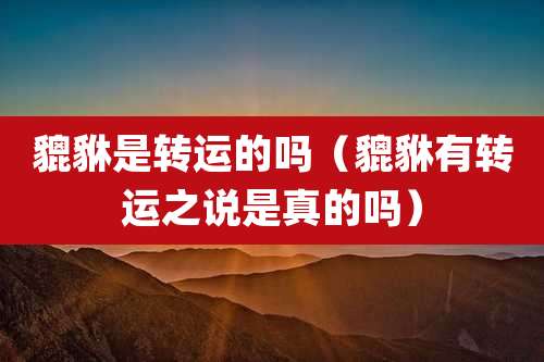 貔貅是转运的吗（貔貅有转运之说是真的吗）