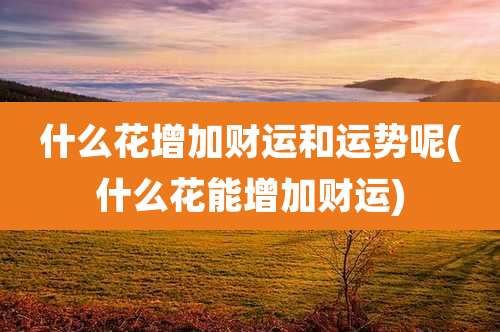 什么花增加财运和运势呢(什么花能增加财运)