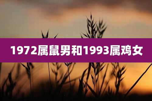 1972属鼠男和1993属鸡女
