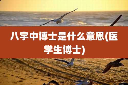 八字中博士是什么意思(医学生博士)