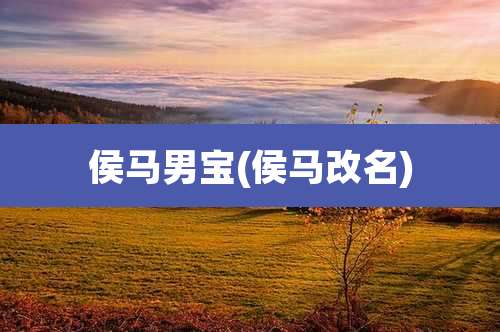 侯马男宝(侯马改名)