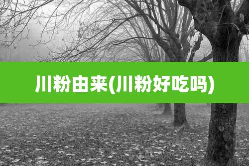 川粉由来(川粉好吃吗)
