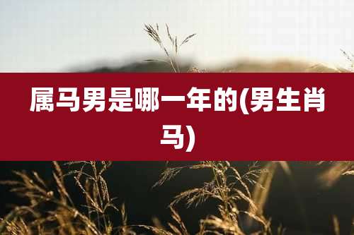 属马男是哪一年的(男生肖马)