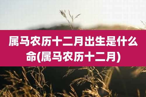 属马农历十二月出生是什么命(属马农历十二月)