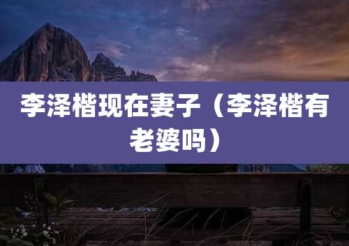 李泽楷现在妻子（李泽楷有老婆吗）