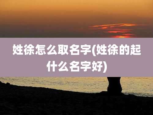姓徐怎么取名字(姓徐的起什么名字好)