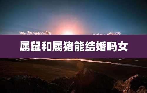 属鼠和属猪能结婚吗女