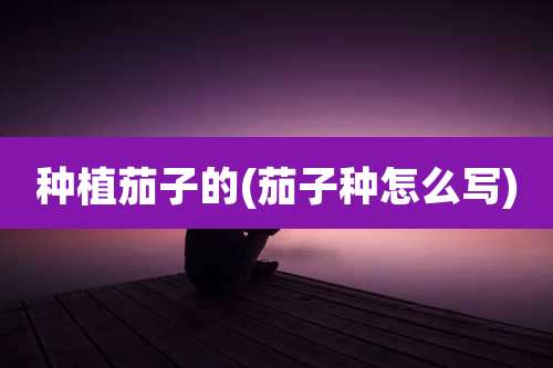 种植茄子的(茄子种怎么写)