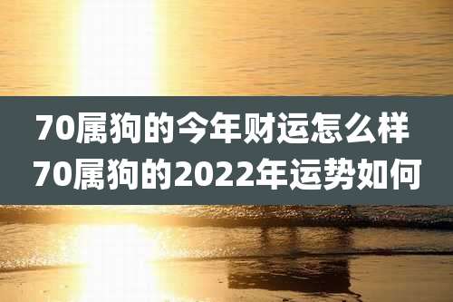 70属狗的今年财运怎么样 70属狗的2022年运势如何