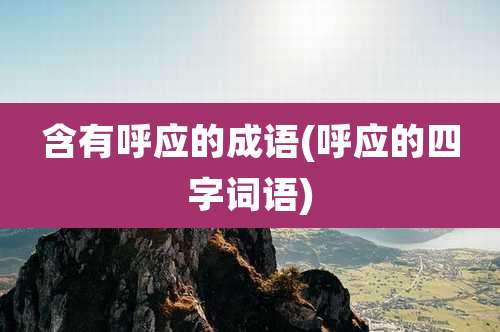 含有呼应的成语(呼应的四字词语)