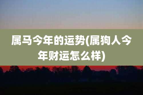 属马今年的运势(属狗人今年财运怎么样)