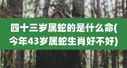 四十三岁属蛇的是什么命(今年43岁属蛇生肖好不好)