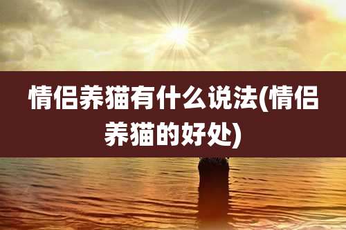 情侣养猫有什么说法(情侣养猫的好处)