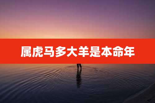 属虎马多大羊是本命年