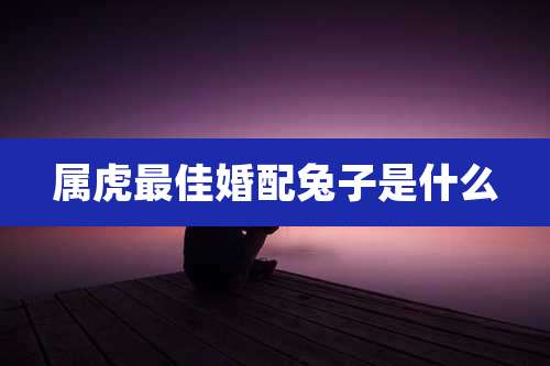 属虎最佳婚配兔子是什么