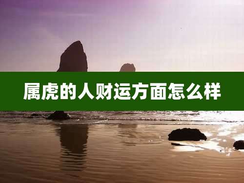 属虎的人财运方面怎么样