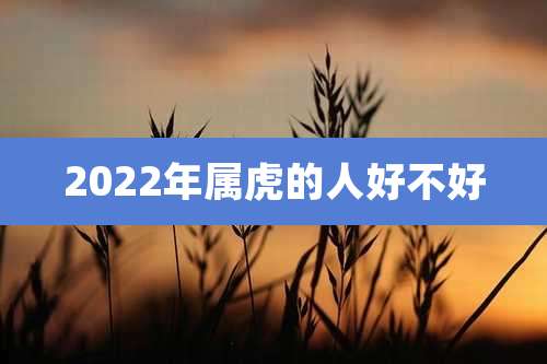 2022年属虎的人好不好