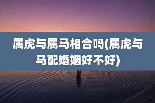 属虎与属马相合吗(属虎与马配婚姻好不好)