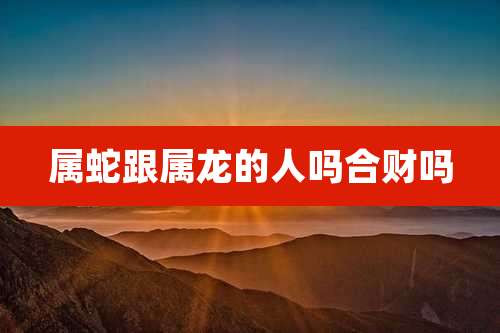 属蛇跟属龙的人吗合财吗
