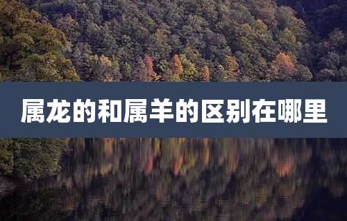 属龙的和属羊的区别在哪里
