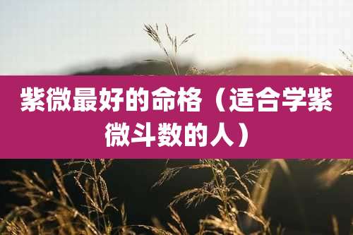 紫微最好的命格（适合学紫微斗数的人）