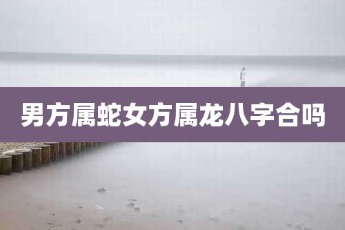 男方属蛇女方属龙八字合吗