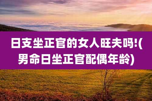 日支坐正官的女人旺夫吗!(男命日坐正官配偶年龄)