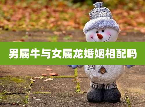 男属牛与女属龙婚姻相配吗