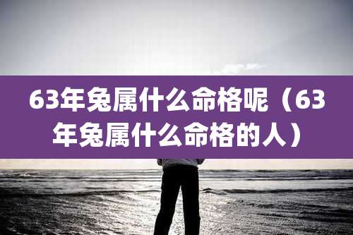 63年兔属什么命格呢（63年兔属什么命格的人）