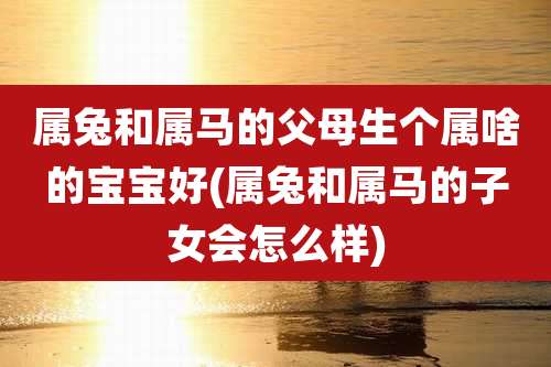 属兔和属马的父母生个属啥的宝宝好(属兔和属马的子女会怎么样)