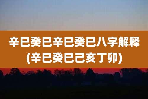 辛巳癸巳辛巳癸巳八字解释(辛巳癸巳己亥丁卯)