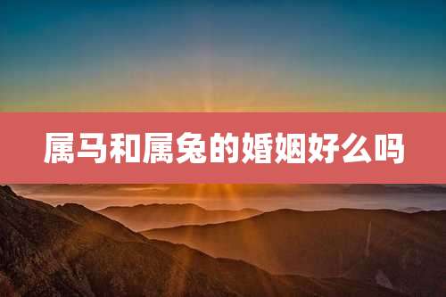 属马和属兔的婚姻好么吗