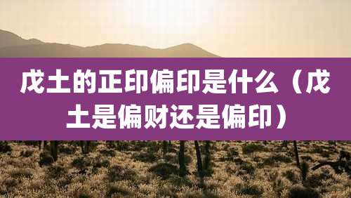 戊土的正印偏印是什么（戊土是偏财还是偏印）