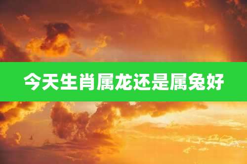 今天生肖属龙还是属兔好