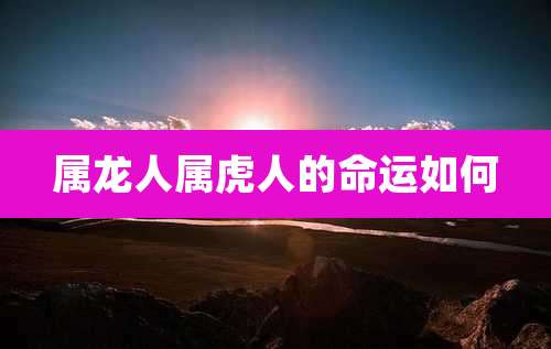 属龙人属虎人的命运如何