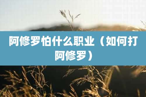 阿修罗怕什么职业（如何打阿修罗）