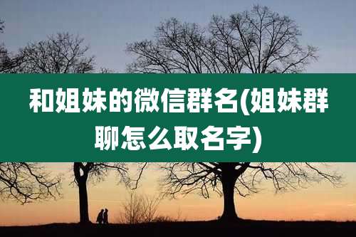 和姐妹的微信群名(姐妹群聊怎么取名字)