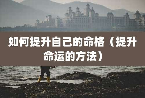 如何提升自己的命格（提升命运的方法）