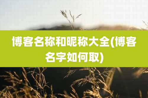 博客名称和昵称大全(博客名字如何取)