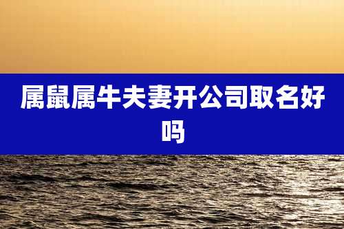 属鼠属牛夫妻开公司取名好吗