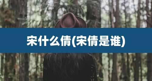 宋什么倩(宋倩是谁)