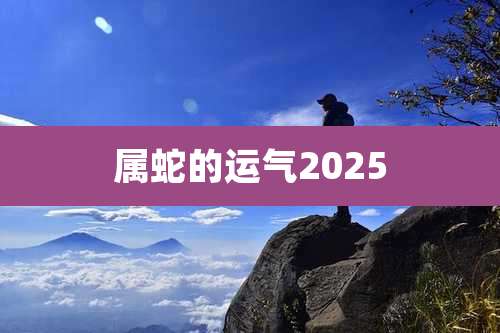 属蛇的运气2025